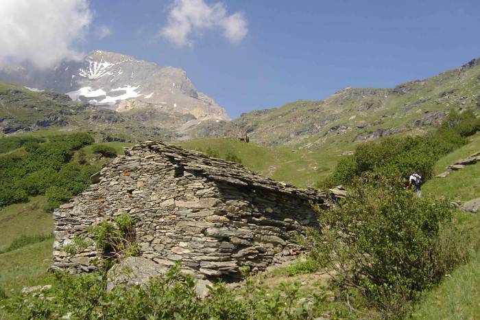 chalet devant dent parrachee.jpg